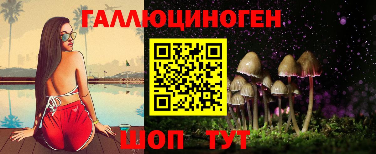 Галлюциногенные грибы мухоморы  Вход с VPN  Новоалександровск  Псилоцибиновые грибы GOLDEN TEACHER 
