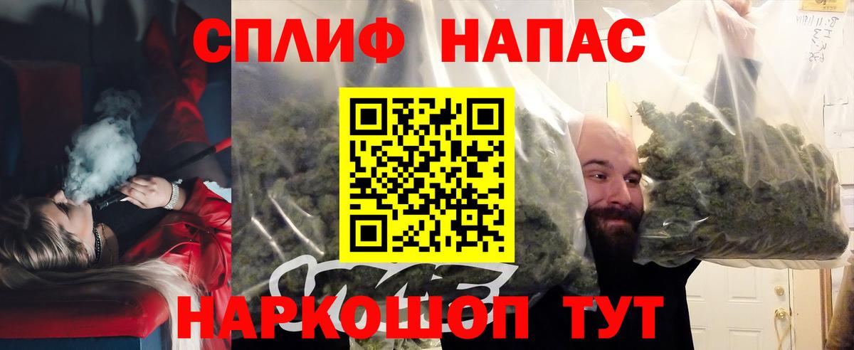 Конопля сатива Новоалександровск